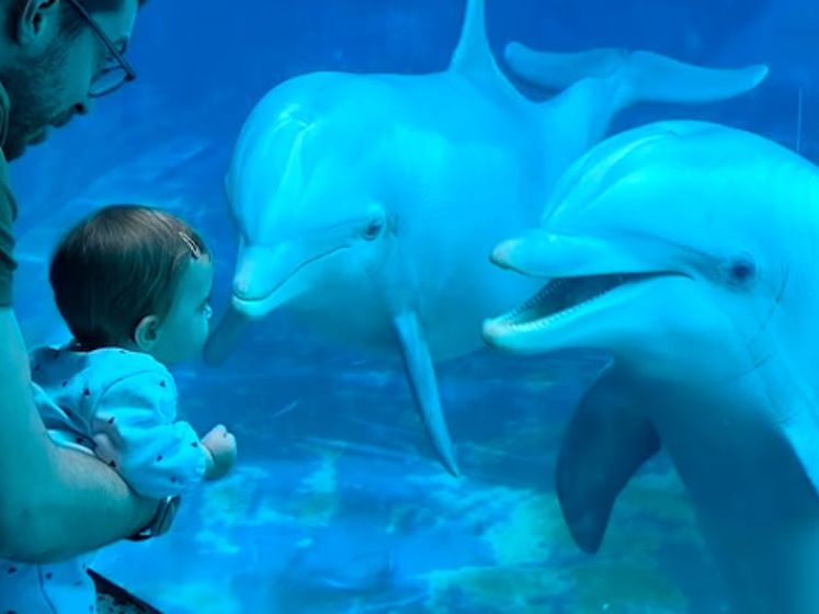 Zo lief! Dolfijnen betoveren baby in Italiaans dolfinarium