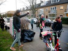 Utrecht is jarig en trakteert: gratis bomen zijn razend populair