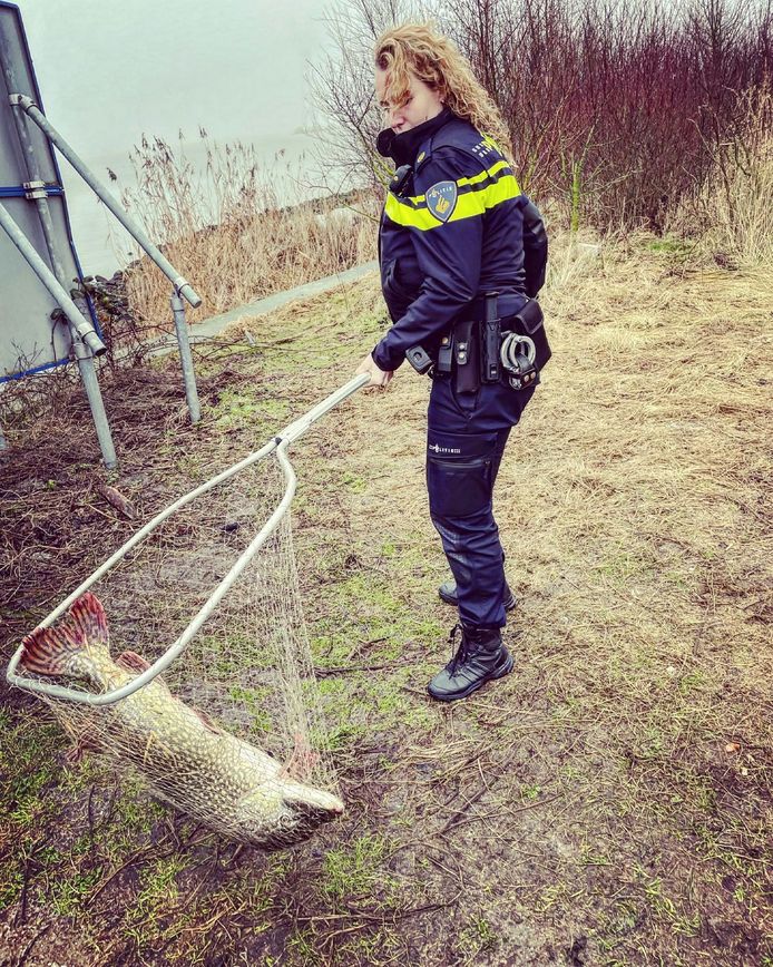 Politie West Veluwe deed vandaag een bijzondere vangst in Harderwijk.