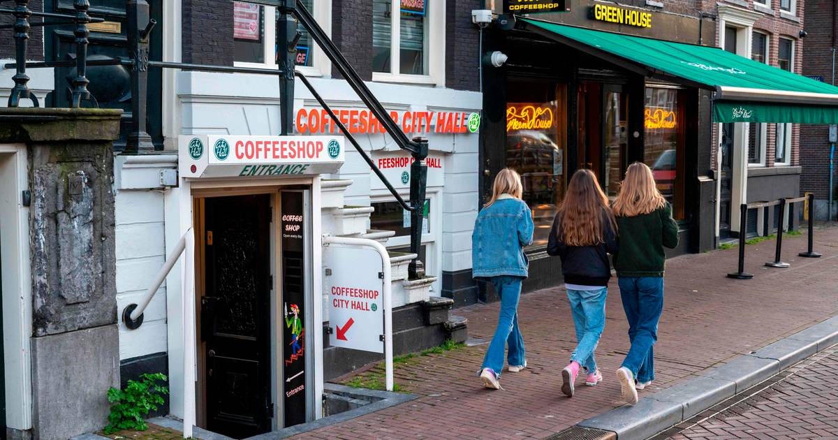 Туристы по-прежнему приветствуются в амстердамских кафе: мэр нацелился на рынок каннабиса из-за связи с торговлей кокаином |  За рубежом