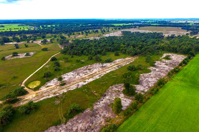 Uit nieuwe berekeningen blijkt dat er meer stikstof neerslaat op het Boetelerveld bij Mariënheem dan tot dusver bekend was.
