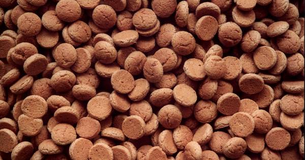 Twentsewens Ambulance krijgt geld na pepernotenactie Reutum | Tubbergen - Tubantia