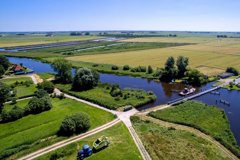 Het gaat slecht met de natuur in Friesland, blijkt uit deze vier boeken - Trouw