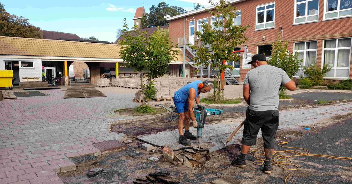 Sint-Montfortschool grijpt zomervakantie aan om speelplaats te ontharden | Kontich