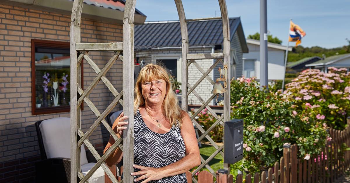 Welkom op de camping van Hoek van Holland Een houten kampeerstad aan