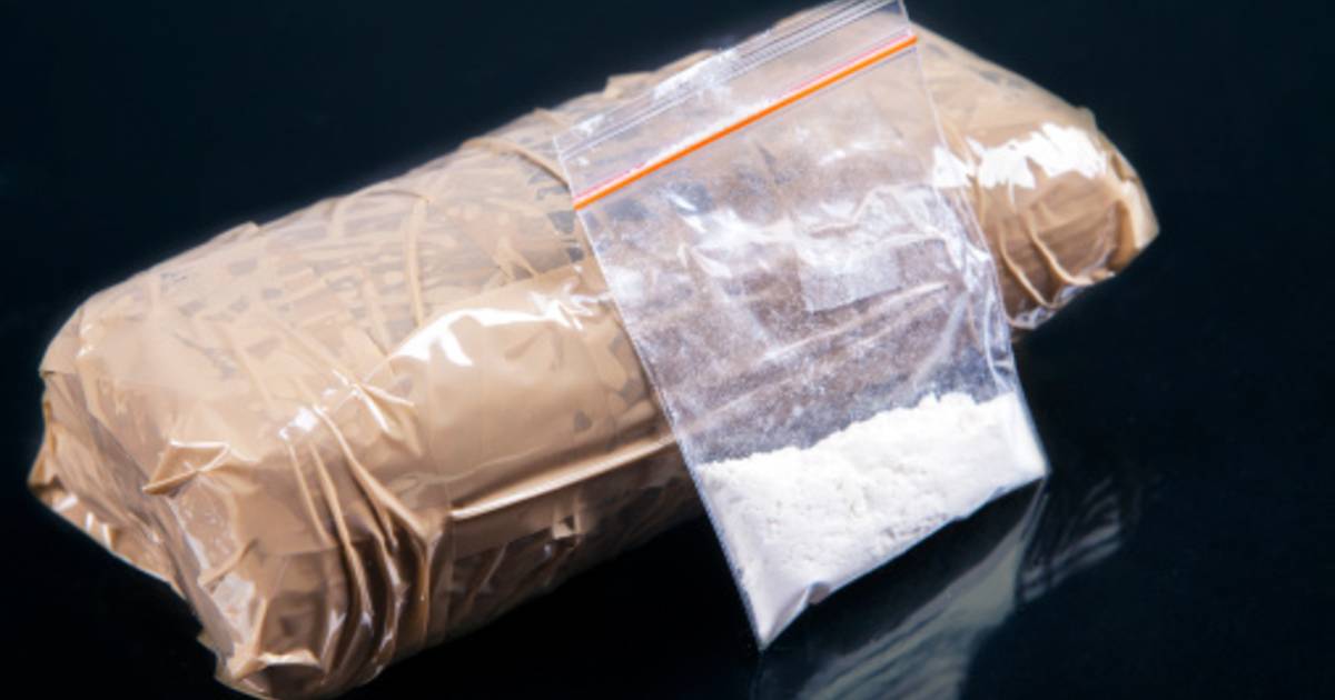 Fransman met ruim kilo coke in zijn auto betrapt bij Zevenbergschen Hoek - BN DeStem