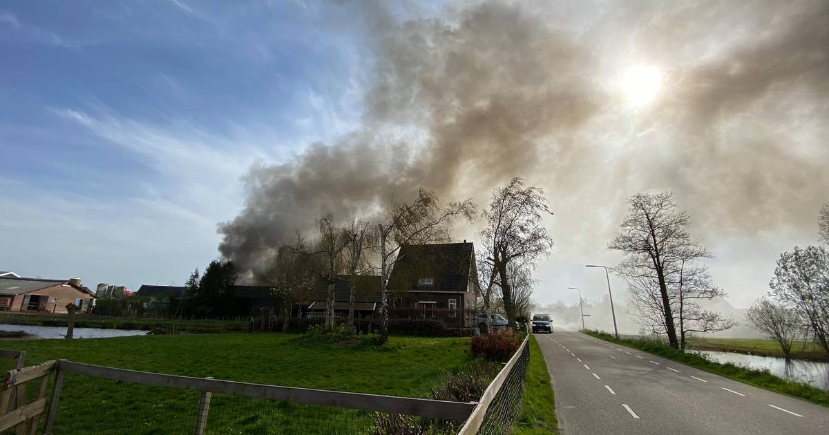 Puppy's overleden bij brand in woonboerderij Ouderkerk aan den IJssel