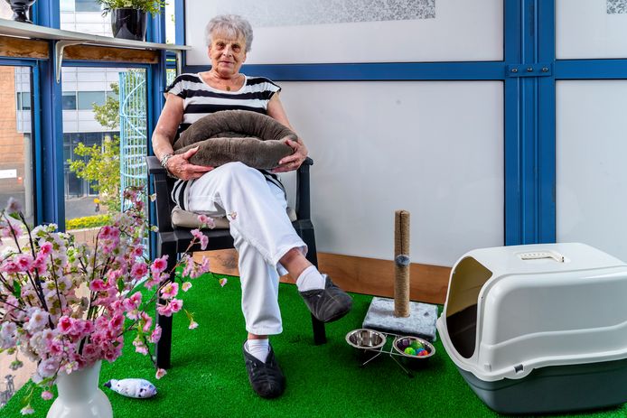Tonny van der Wilt (76) op haar balkon waar alles klaarstaat voor de kitten.