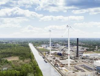 Aantal windturbines op land zal komende tien jaar bijna verdrievoudigen in Vlaanderen: “Een drastische stijging”