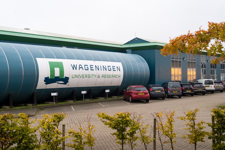 De Wageningen universiteit  wil liever geen arbeidsmigranten tegenover zijn kantoor. Beeld Boudewijn Bollmann