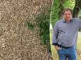 “Gazonsproeiers zijn niet efficiënt”: tuinexpert geeft vijf tips om een uitgedroogd gazon te voorkomen