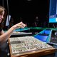 Naturalis laat de sprinkhaan en de aardhommel stralen als fotomodellen op de catwalk