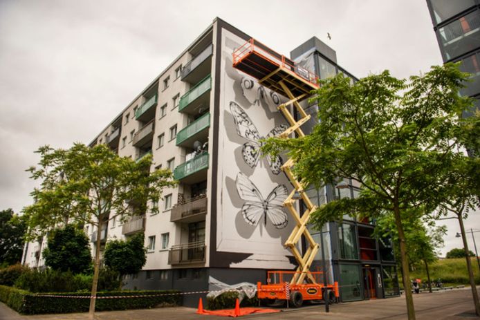 Nieuwe Blind Wall in Breda aan Tuinzigtlaan, hoogste tot nu toe: 20 meter, gevuld met hyperrealistische vlinders. Foto: PHOTED, Edwin Wiekens.