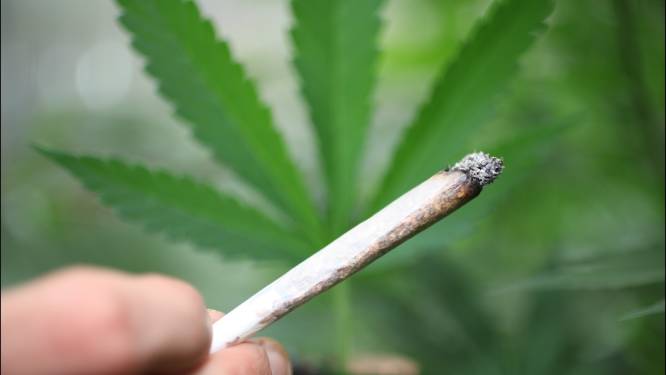 Le cannabis va rapporter des milliards au Canada