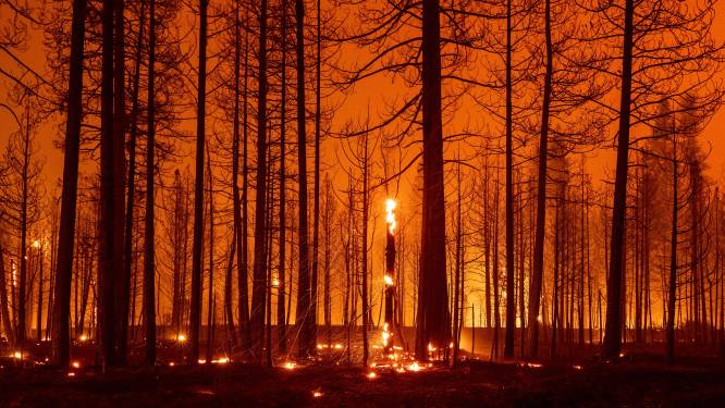 Branden in Californië laaien op door hitte, droogte en sterke wind