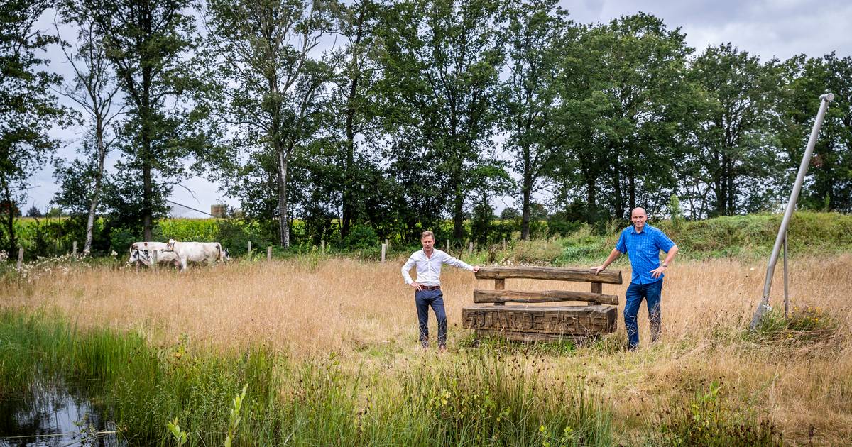 Bergeijk is grootste grondbezitter van Brabant: 'De Pielis niet volgooien met zonne-akkers en windmo
