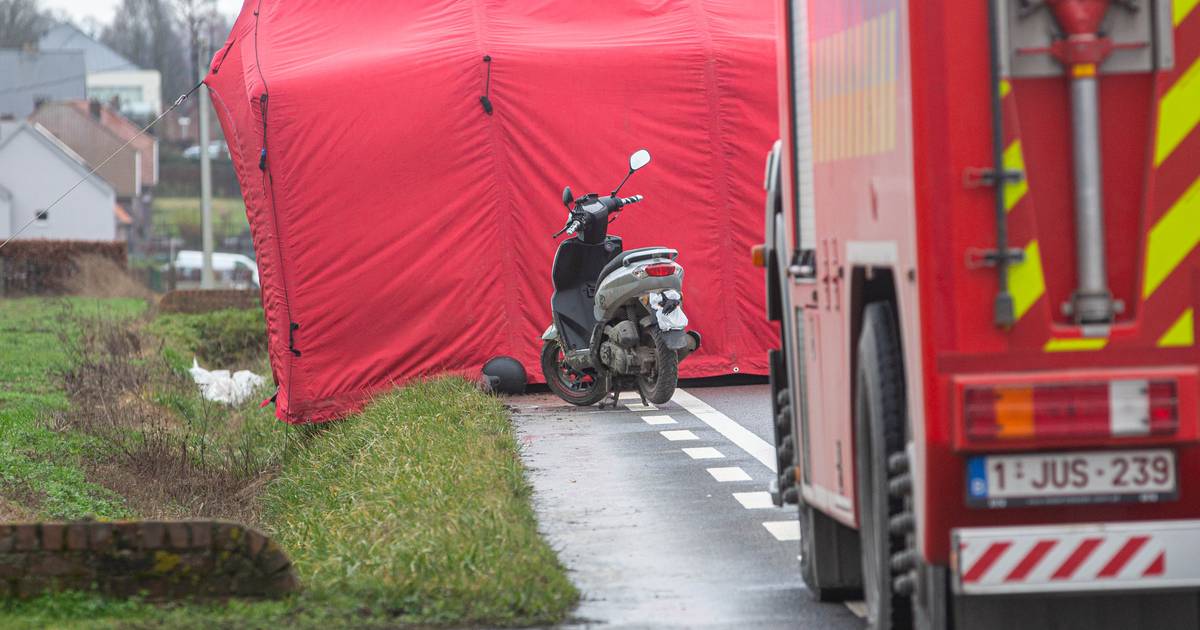 Vrouw valt met bromfiets en komt onder wielen van vrachtwagen terecht Gooik hln.be