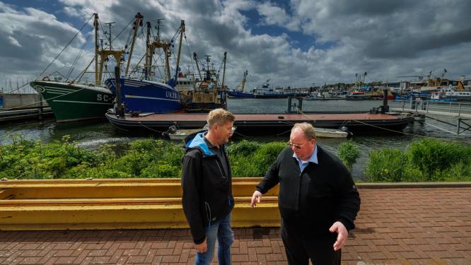 Nederlandse visserijsector lijdt miljoenen euro's verlies: ‘Schepen veel te duur om vis te vangen’