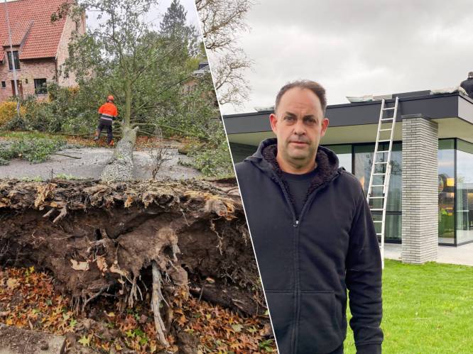 OVERZICHT. Storm Ciarán laat spoor van vernieling achter in Vlaanderen: omgevallen bomen, weggewaaide daken en 2 mensen komen om het leven