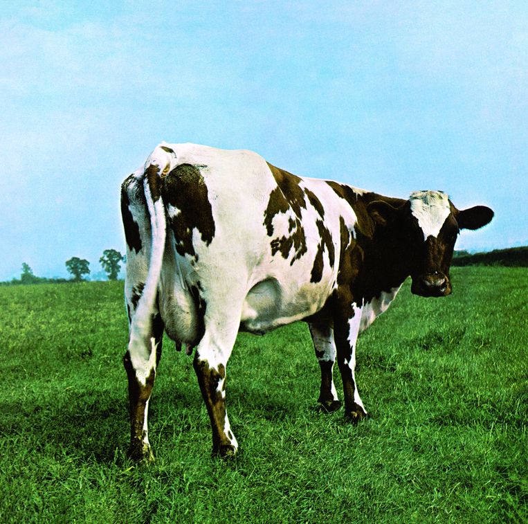 Atom Heart Mother van Pink Floyd. Beeld Hipgnosis