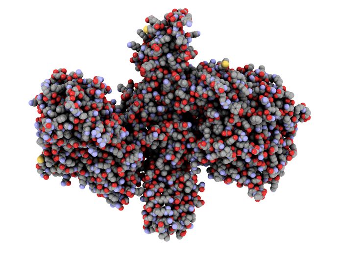 Een moleculair model van botulinum toxine A. Dit is een gif dat afgescheiden wordt door de bacterie  Clostridium botulinum. 'Botox' is de commerciële benaming voor dat gif.