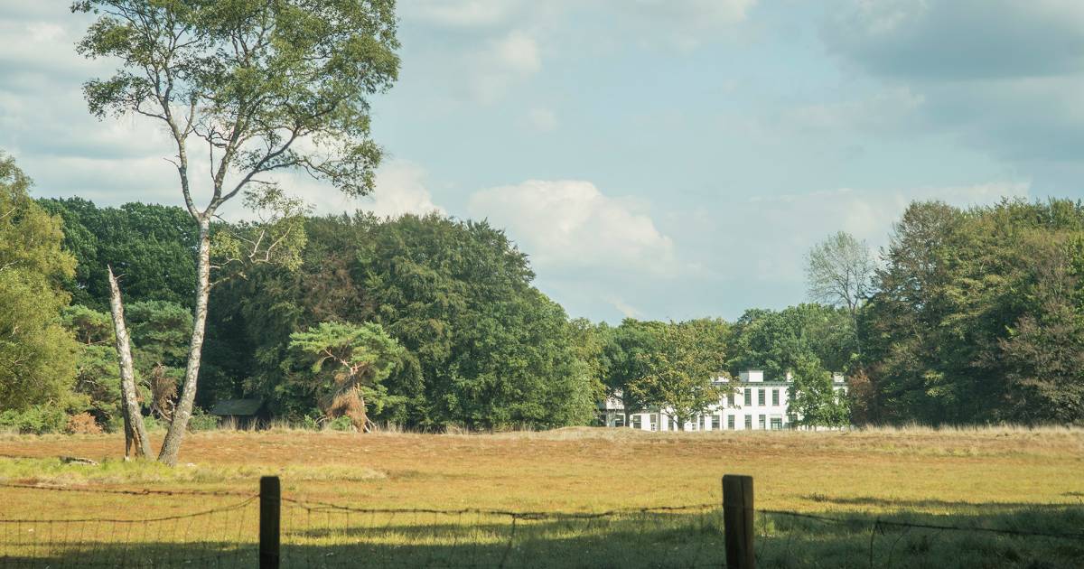 Grond Kamp van Zeist wordt 'teruggegeven' aan de natuur - De Gelderlander