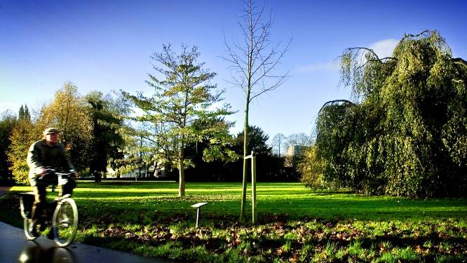 Omwonenden fel tegen plan voor woningen aan het Stroomdalpad Oisterwijk: ‘Uitzicht op het park is weg’