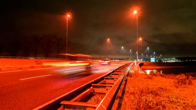 De A59 kleurt oranjerood bij Waalwijk, en dat is fijn voor de vleermuis, want die krijgt koppijn van wit licht