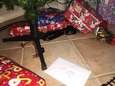 Koppel doodsbenauwd wanneer ze giftige slang onder kerstboom vinden