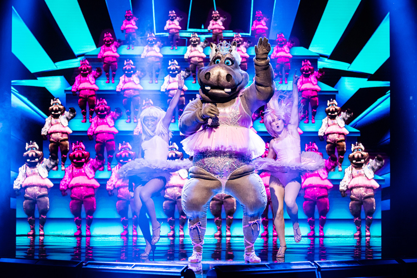 wie-verschuilt-zich-achter-het-masker-van-hippo-uit-the-masked-singer