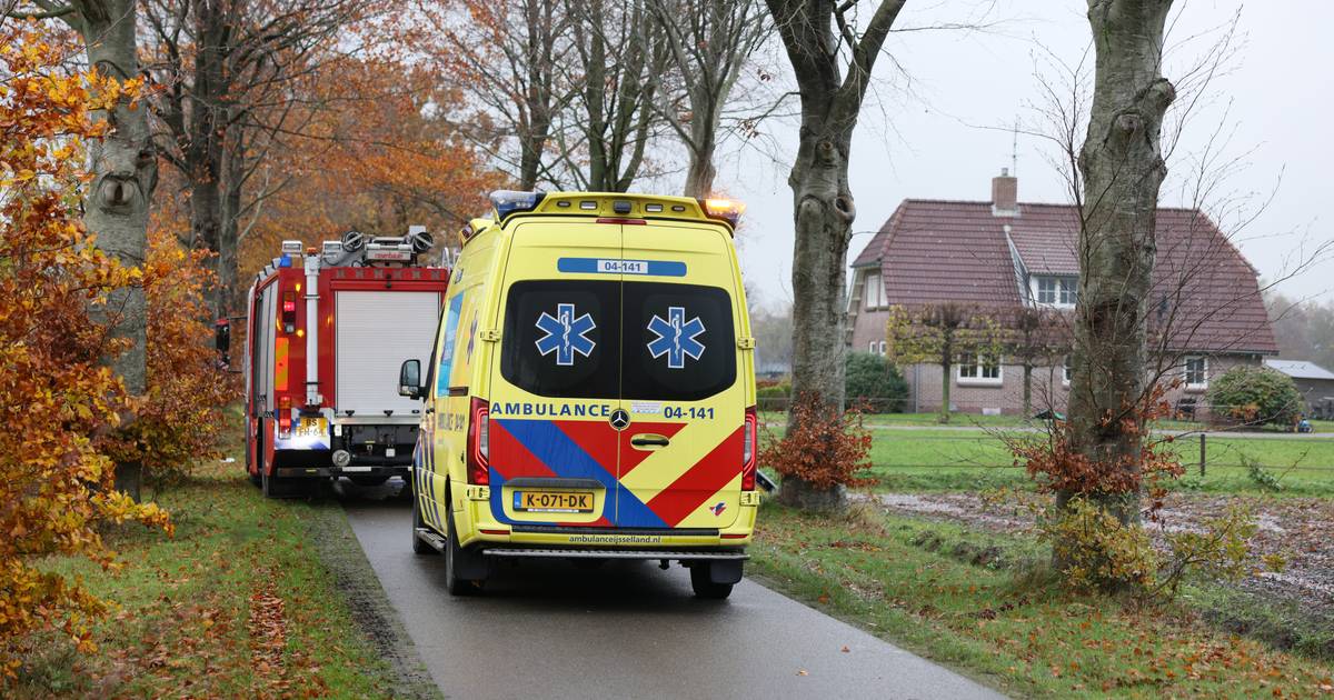 Vrouw overleden na botsing tegen boom in Nieuwleusen.