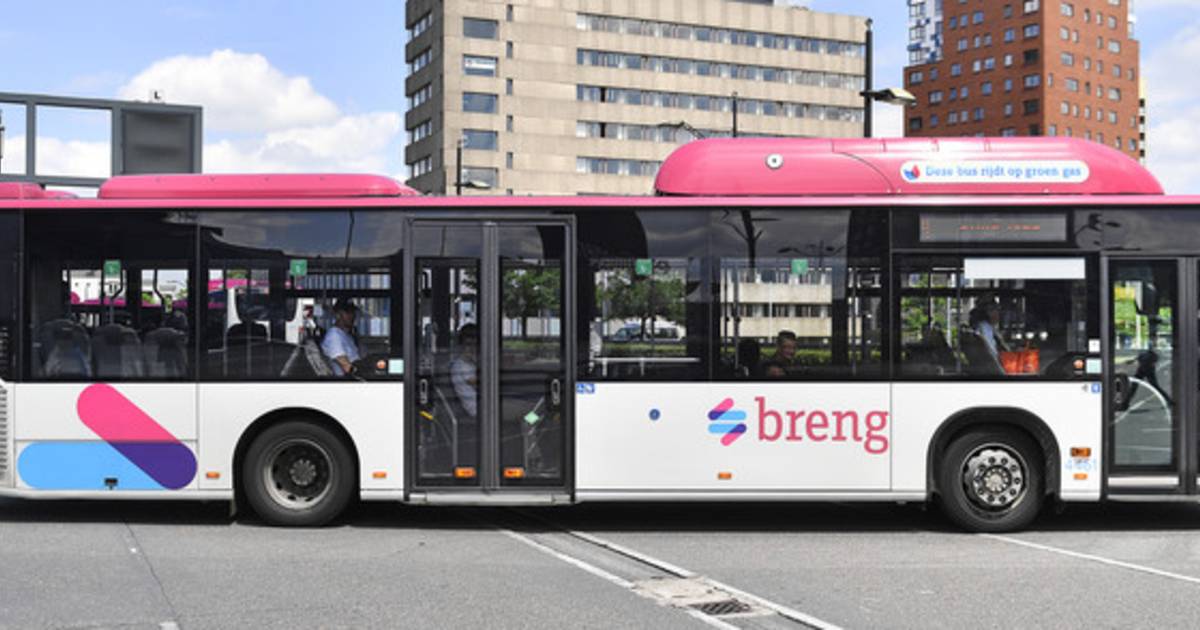 voor het geval dat Gedachte Geaccepteerd Elk half uur een bus naar het centrum vanuit elke Nijmeegse wijk | Nijmegen  | gelderlander.nl