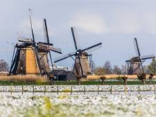 Wereldrecordpoging molendraaien in Nederland: ‘Hoe meer aandacht voor de molens, hoe beter’