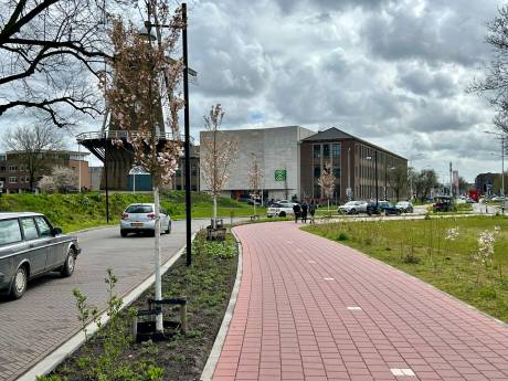 Tropisch warm of toch niet? Dit is de weersverwachting voor de Doetinchemse zomer