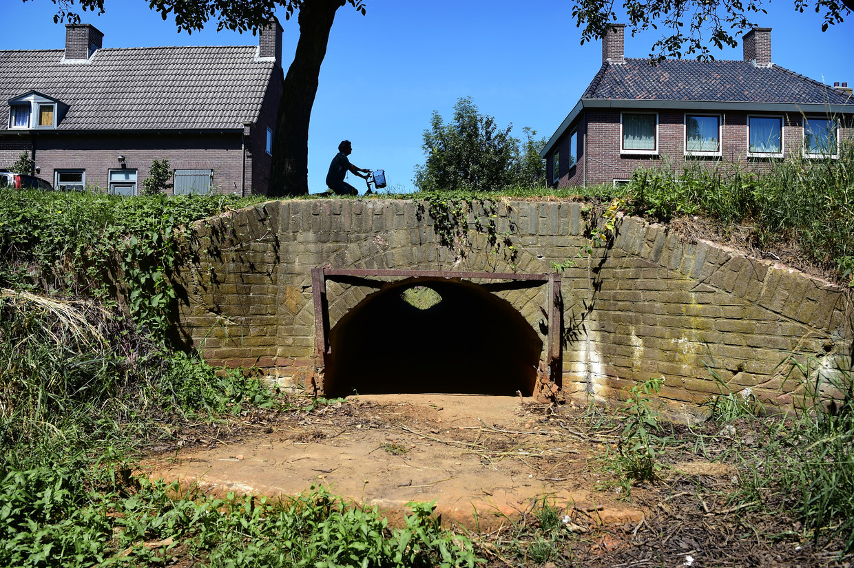Een drooggevallen sloot in Ochten. De bodemdaling veroorzaakt door de toenemend droge zomers zorgt voor schade aan verzakkende straten, bruggen, rioleringen en andere leidingen. Beeld Marcel van den Bergh / de Volkskrant