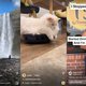 Instagram-gebruikers geven update niet bepaald een hartje: ‘De nieuwe app is waardeloos’