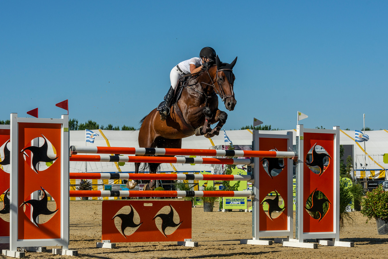 De paardensport staat centraal tijdens Jumpin' de Weel in Nisse.