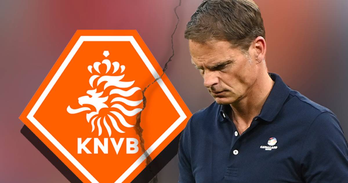 knvb polo oranje