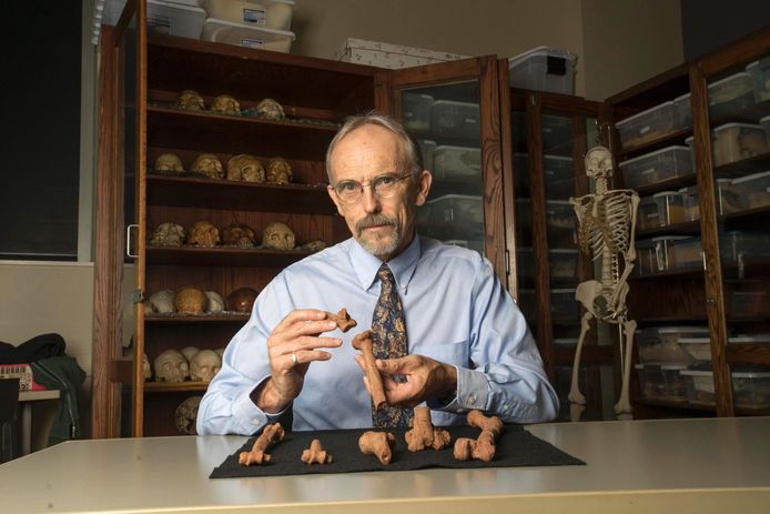 Professor John Kappelman van de Universiteit van Texas met voor hem enkele 3D-geprinte botten uit het fossiel.