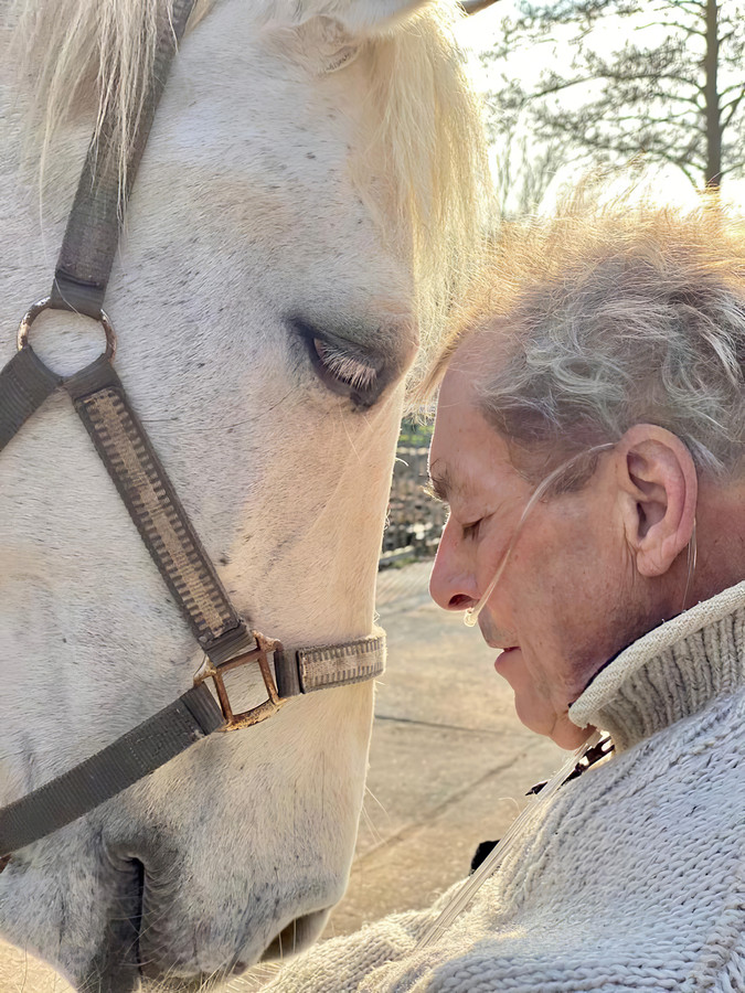 Cees Smit met Dadiva. De Gouwenaar heeft een ander onderkomen moeten zoeken voor de merrie.