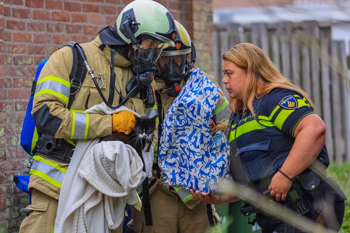 Een kind en een aantal katten zijn zaterdagochtend uit een brandend huis gered.