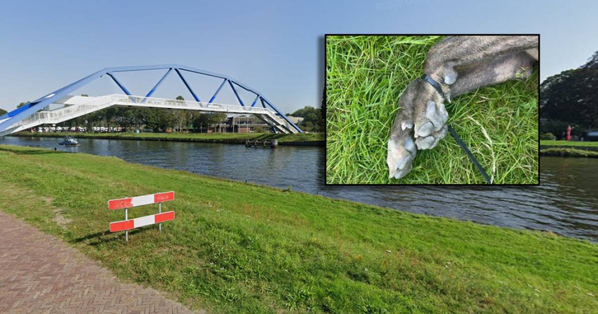 Wat lopen er toch gestoorde mensen rond. ?? .