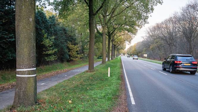 Akkoord over aanplant bomen in Deurne