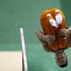 Hecht teamverband levert turnmannen olympische kwalificatie op