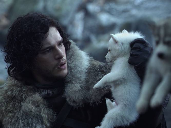 Fans kopen husky's door 'Game of Thrones', om ze dan te dumpen