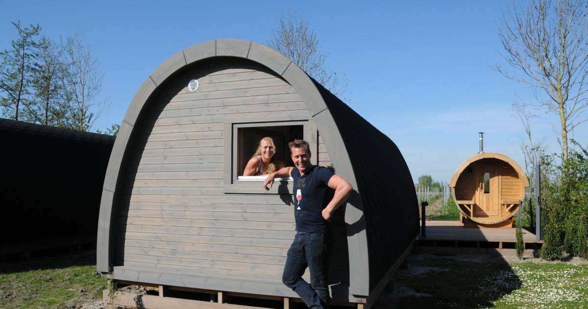 Wakker worden in een wijnvat met uitzicht op de wijnranken: in Frankrijk? Nee, gewoon in Dreischor