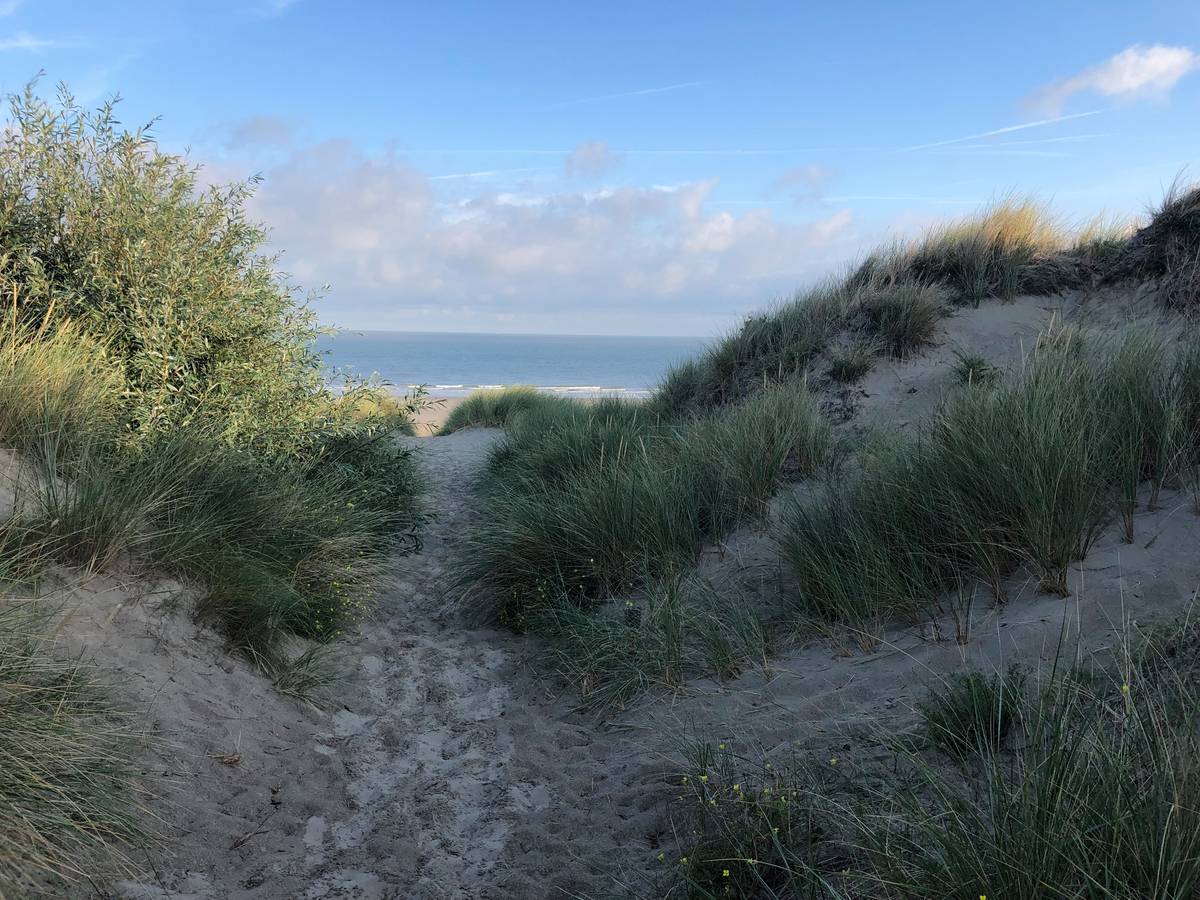 Naaktloper in duinen van Bredene komt weg met lichte straf | Bredene |  hln.be