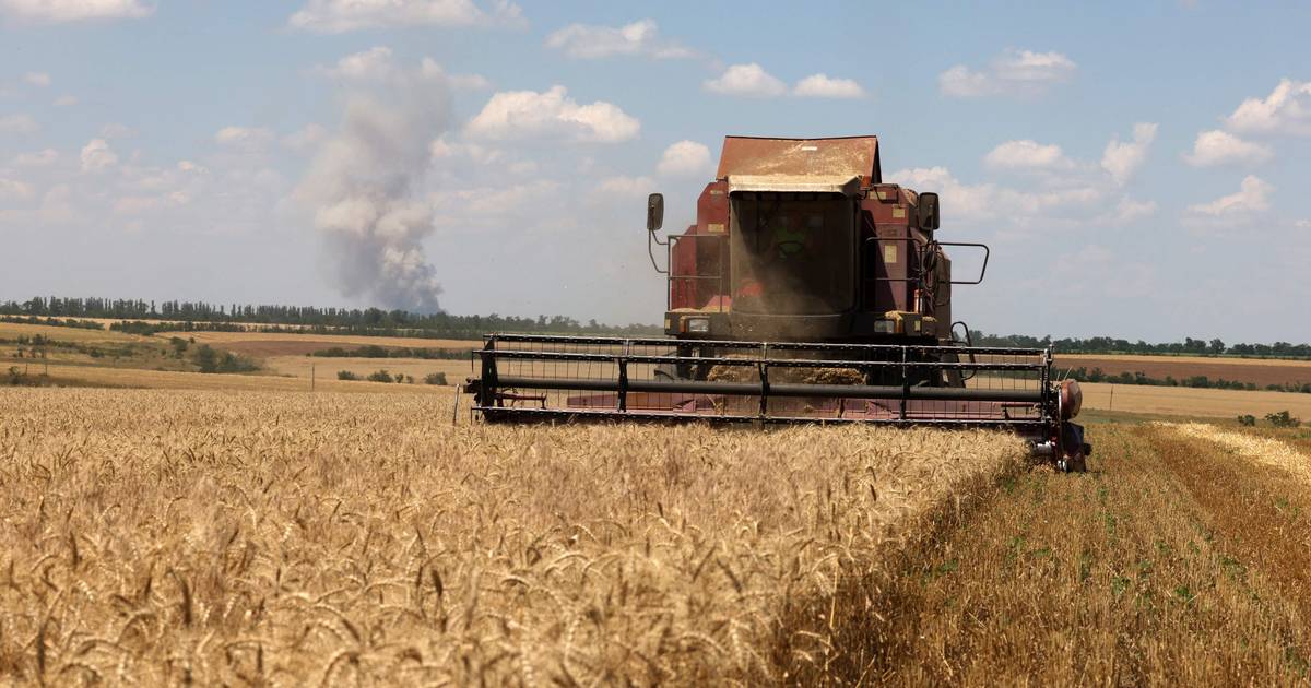 Future Grain Deal Between Russia and Ukraine Uncertain: ‘West Doesn’t Meet Russian Terms’ |  Ukraine and Russia war
