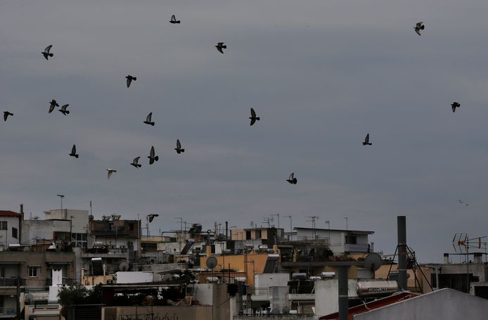 Vogels vliegen over Athene.