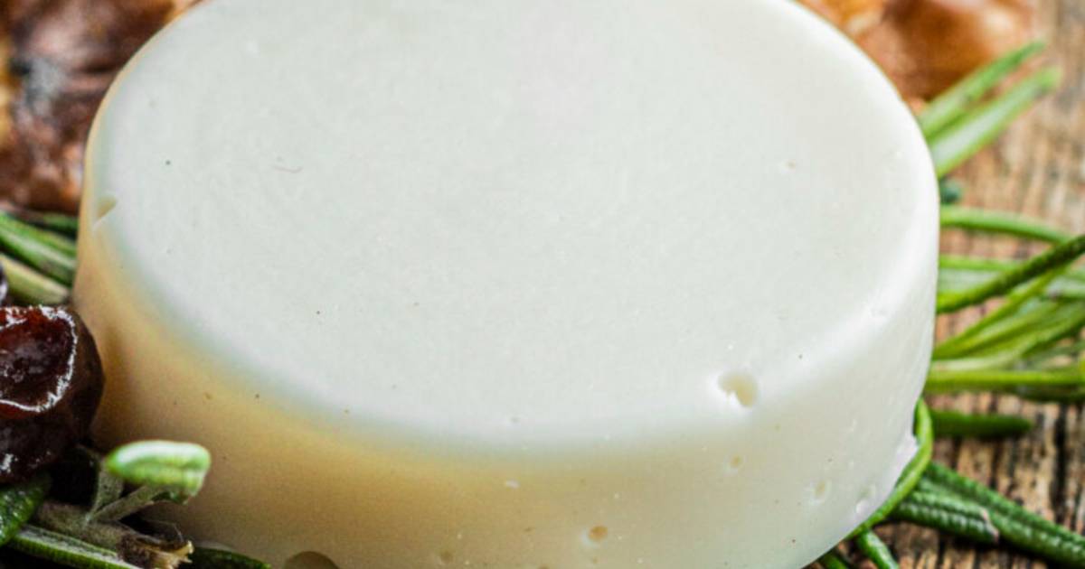 Ghent startup makes first cheese without a live cow |  science